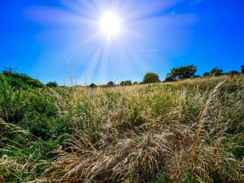 a field of grass with the sun in the sky at Pass the Keys Cosy Rural 2 Bed Barn conversion close to Beach in Marcross