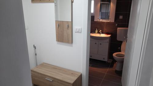 a small bathroom with a toilet and a sink at Apartmani Orion-Tara in Bajina Bašta