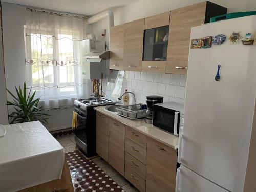 a kitchen with a white refrigerator and a stove at Cazare Vila Maria in Curtea de Argeş
