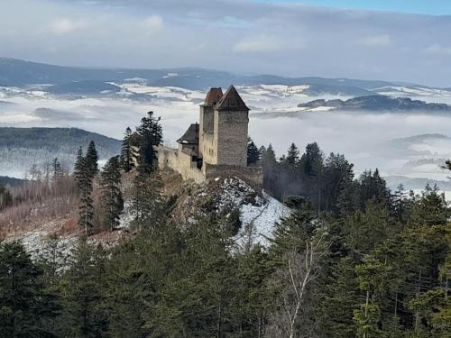 a castle on the top of a hill with snow at Apartmány Na Valše in Sušice
