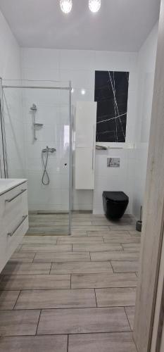 a bathroom with a glass shower and a toilet at Hostel AgMa in Jasień