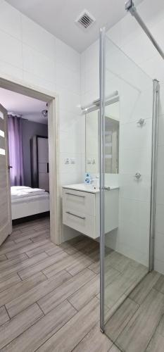 La salle de bains est pourvue d'une douche, d'un lavabo et d'un miroir. dans l'établissement Hostel AgMa, à Jasień