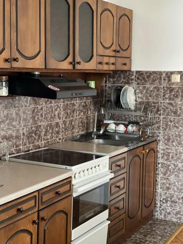 Η κουζίνα ή μικρή κουζίνα στο Vila Petunija