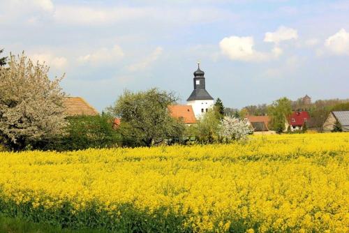 a field of yellow flowers with a church in the background at Zschampert Hof bei Leipzig Ruhige Ferienwohnung Bauernhof für 4-5 Personen in Markranstädt