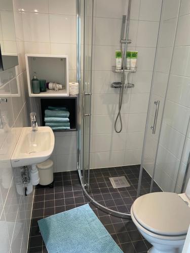 a bathroom with a shower and a toilet and a sink at Stuga in Myggenäs