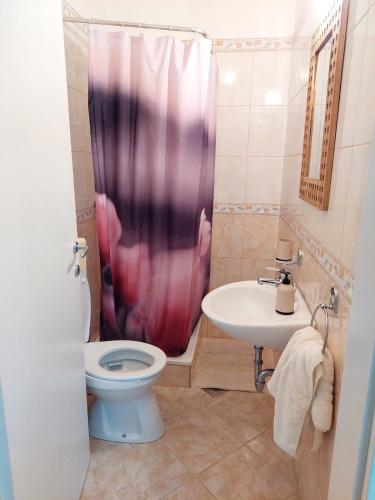 a bathroom with a toilet and a sink at Apartma Lavanda Istriana in Pobegi