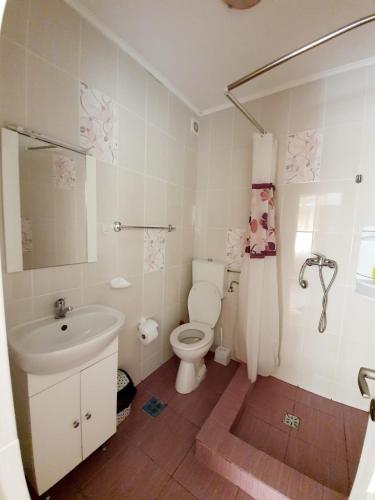 a bathroom with a white toilet and a sink at La Turturica in Corbu