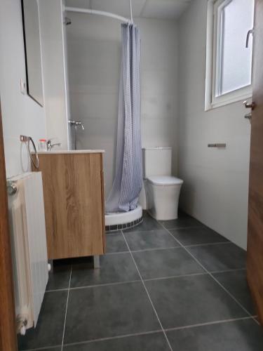 uma casa de banho com um lavatório, um WC e um chuveiro em Apartamento en Bilbao con Wifi al lado del metro em Bilbau