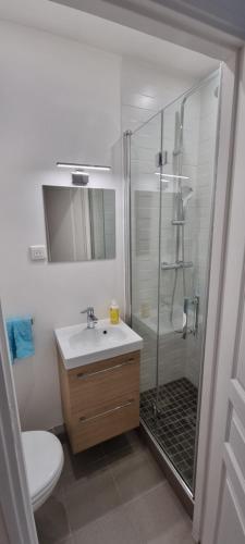 La salle de bains est pourvue d'une douche, d'un lavabo et de toilettes. dans l'établissement PARIS AURIOL, à Paris