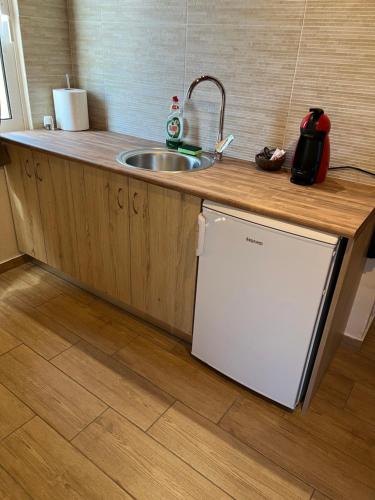 a kitchen with a sink and a white refrigerator at AGApE in Keratea