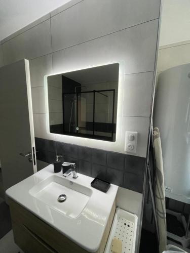 een badkamer met een witte wastafel en een spiegel bij Appartement dans maison avec cour et parc in Fresnes-en-Woëvre