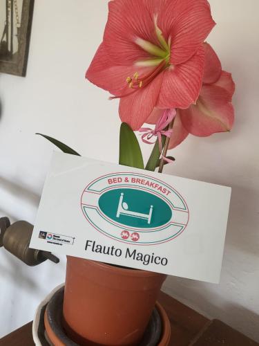Una flor en una maceta con un letrero. en B&B Flauto Magico, 