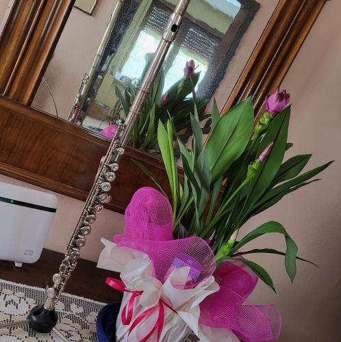 a pink stuffed animal and flowers in a mirror at B&B Flauto Magico 