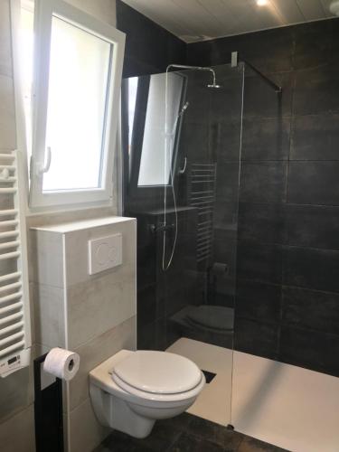 een badkamer met een toilet en een glazen douche bij STUDIO A 20 MIN DU PUY DU FOU in Mesnard-la-Barotière