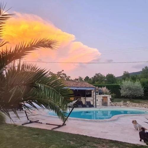 a palm tree in front of a swimming pool at La babounette in Jaujac