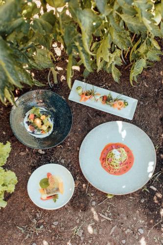four plates of food sitting on the ground at Biohotel theiner's garten in Lana