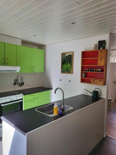 een keuken met groene kasten en een wastafel bij Det lille hus in Middelfart