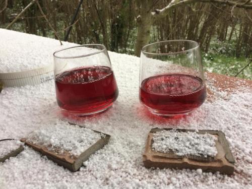 two glasses of wine sitting on a table in the snow at Lo chalet sui NEBRODI in CastellʼUmberto