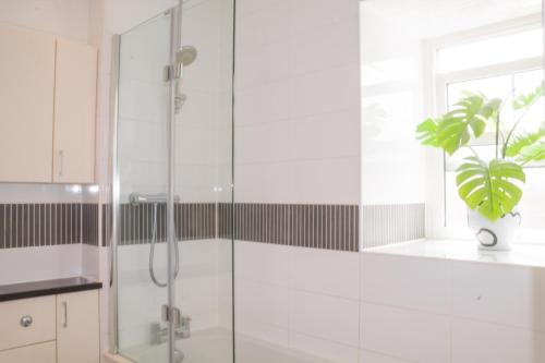 a bathroom with a shower and a plant in a window at Sydney Wharf House in Bath