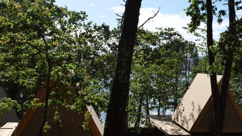 a building in the woods with trees in the background at Amaraxe Ecoglamping in Miñortos