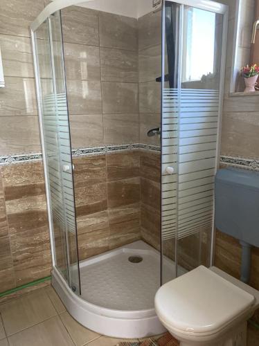 a shower stall with a toilet in a bathroom at Villa Rose in Sarajevo