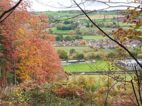 a view of a town from the hill with trees at Swn Y Gwy ~ The Sound of the Wye in Brecon