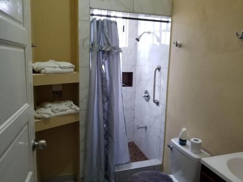 a bathroom with a shower and a toilet at Royal View Apartment Plus in Belize City