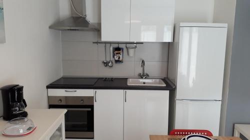 a small kitchen with a sink and a refrigerator at Sarca Riverside in Arco