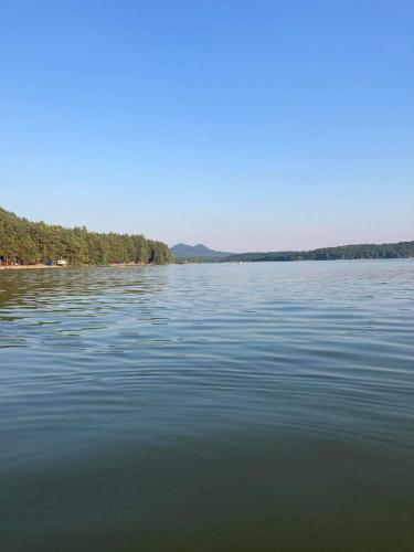 a view of a large body of water at Chatka Maya Máchovo jezero in Doksy
