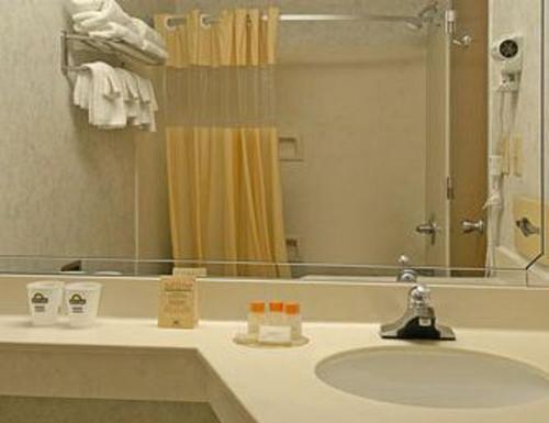 a bathroom with a sink and a mirror and a shower at Days Inn & Suites by Wyndham Lexington in Lexington