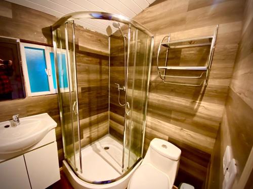 ein Bad mit einer Dusche, einem WC und einem Waschbecken in der Unterkunft Stillner Waldhaus in Puerto Varas