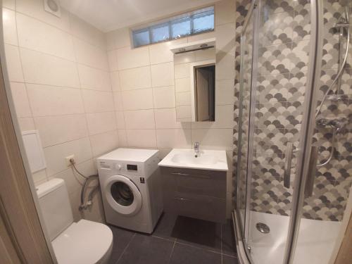 ein Badezimmer mit einem Waschbecken und einer Waschmaschine in der Unterkunft Kandavas Street City Center Apartment in Daugavpils