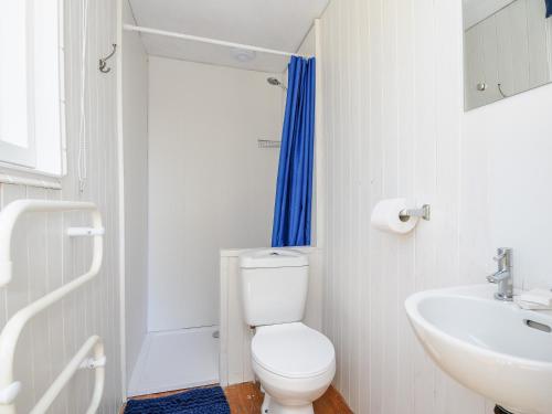 a white bathroom with a toilet and a sink at Shepherds Hut in Lostwithiel