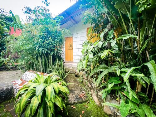 a garden with plants in front of a house at Unicorn Reborn - Peaceful Rentals in San Marcos La Laguna