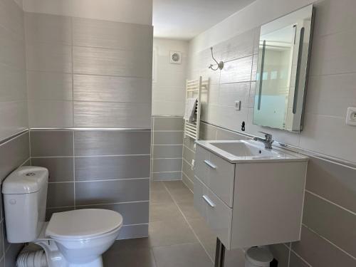 a bathroom with a toilet and a sink and a mirror at Tours, Touraine et Chateaux de la Loire in Fondettes