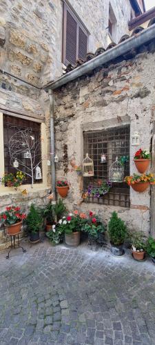 a group of potted plants on the side of a building at Happy Guest Apartments - Blue Lake Therapy in Riva di Solto