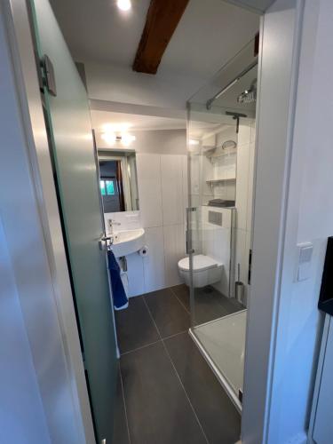 een badkamer met een toilet, een wastafel en een spiegel bij Lütthüs Blankenese in Hamburg