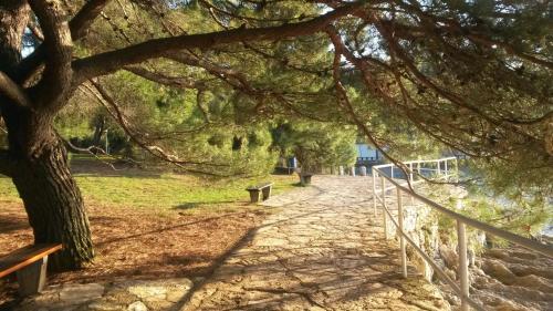 a tree shading a path in a park with benches at Residence Villa Karda in Poreč