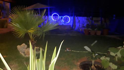 un giardino con piante e luci al buio di Modern Villa in Chania a Perivólia