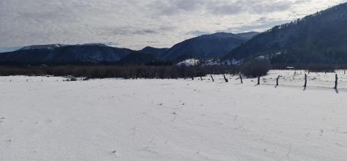 Gallery image of Lodge Ojos de Nieve in Malalcahuello