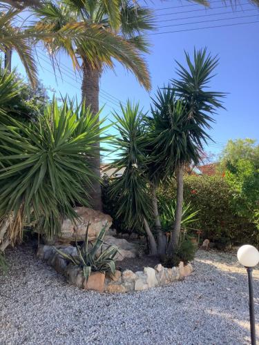 Jardí fora de Villa Ambios