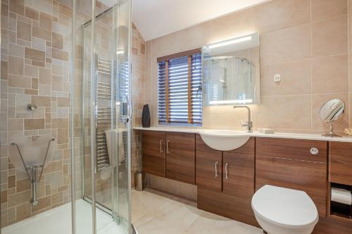 a bathroom with a toilet and a sink and a shower at Elmo Lodge in Salcombe