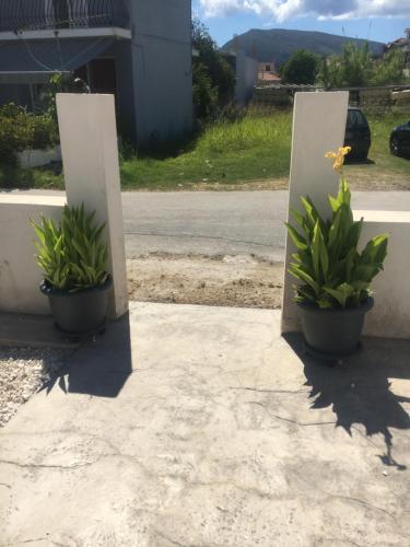 Fotografie z fotogalerie ubytování Joy Apartments Zakynthos v destinaci Laganas
