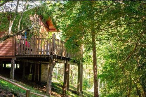 a house with a deck in the middle of trees at Complejo Don Raúl in Puerto Rico