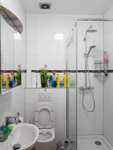 Vannituba majutusasutuses Modernes Apartment 1 und 2 in Dortmund Mitte