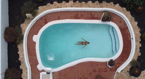 an overhead view of a bug in a swimming pool at Casa Camelio in Mácher