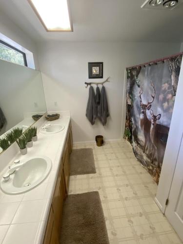 Ένα μπάνιο στο Quail Run Cabin 4,000 Sq.Ft Largest & Most Beautiful House On The Mountain