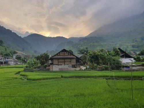 una casa en medio de un campo verde en Organic Farm Homestay en Sa Pa