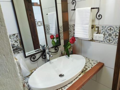 a bathroom with a white sink and a mirror at Glamping De Ruana Por Boyacá in Paipa