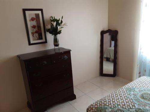 a bedroom with a dresser with a vase of flowers on it at Sassy Diamond Crest in Portmore